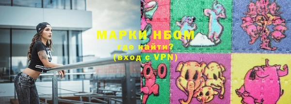 прущие грибы Зеленокумск