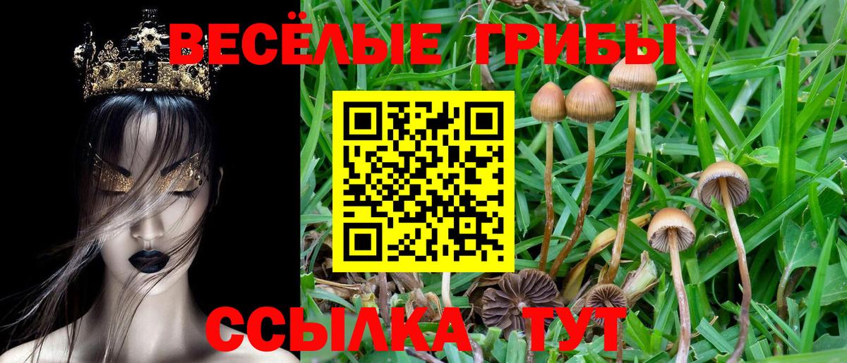 Псилоцибиновые грибы мицелий  Вход с VPN  Губкин 
